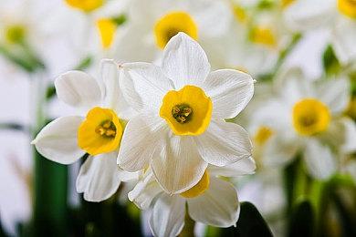 《我是耶稣：序章》官方预告 12月1日上线